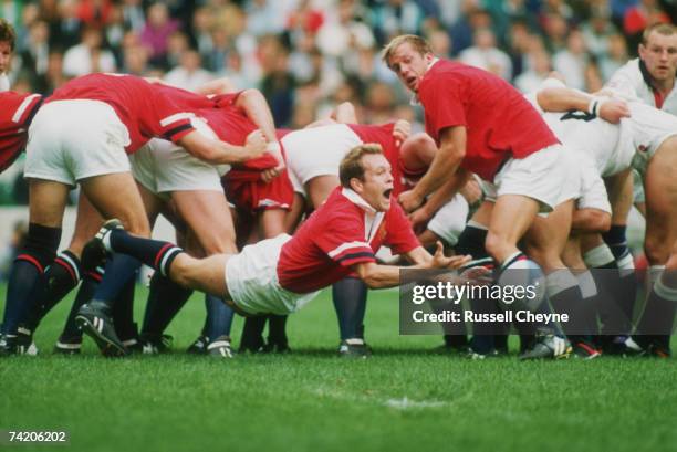Mark Pidcock · USA v England, 1991 World Cup