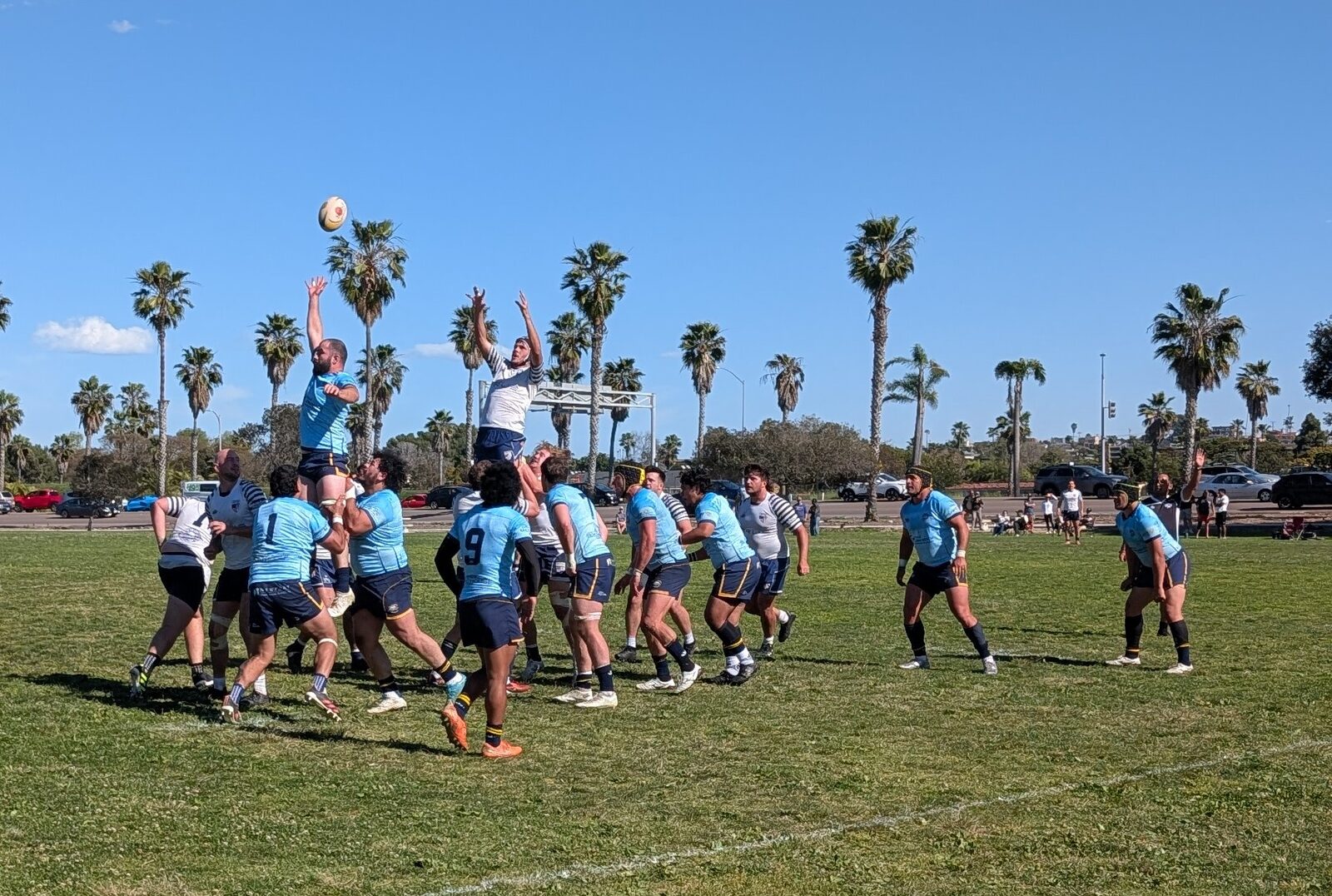 An OMBAC lineout at Robb Field, palms along the touchline